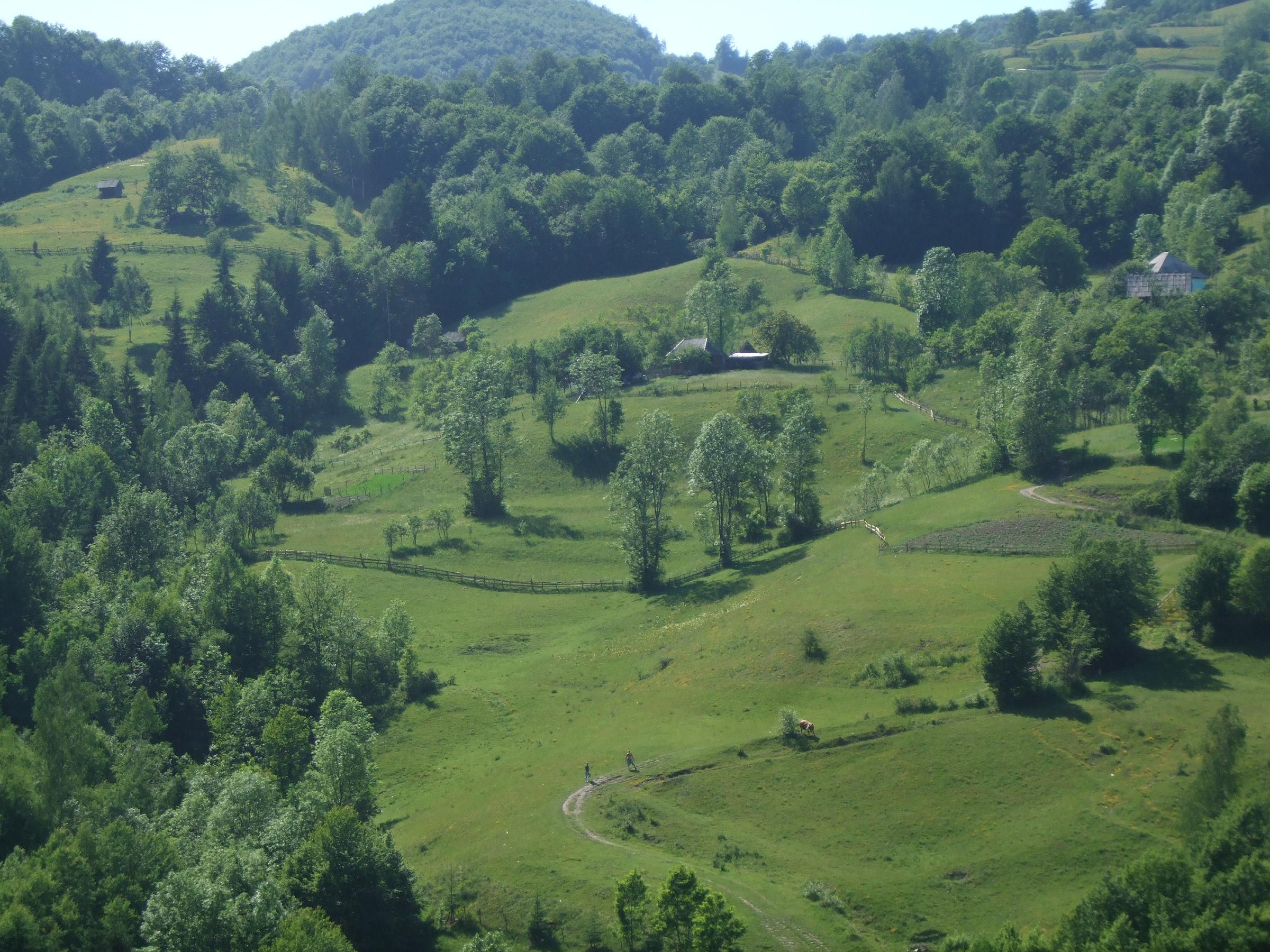 Asa am descoperit Apusenii...