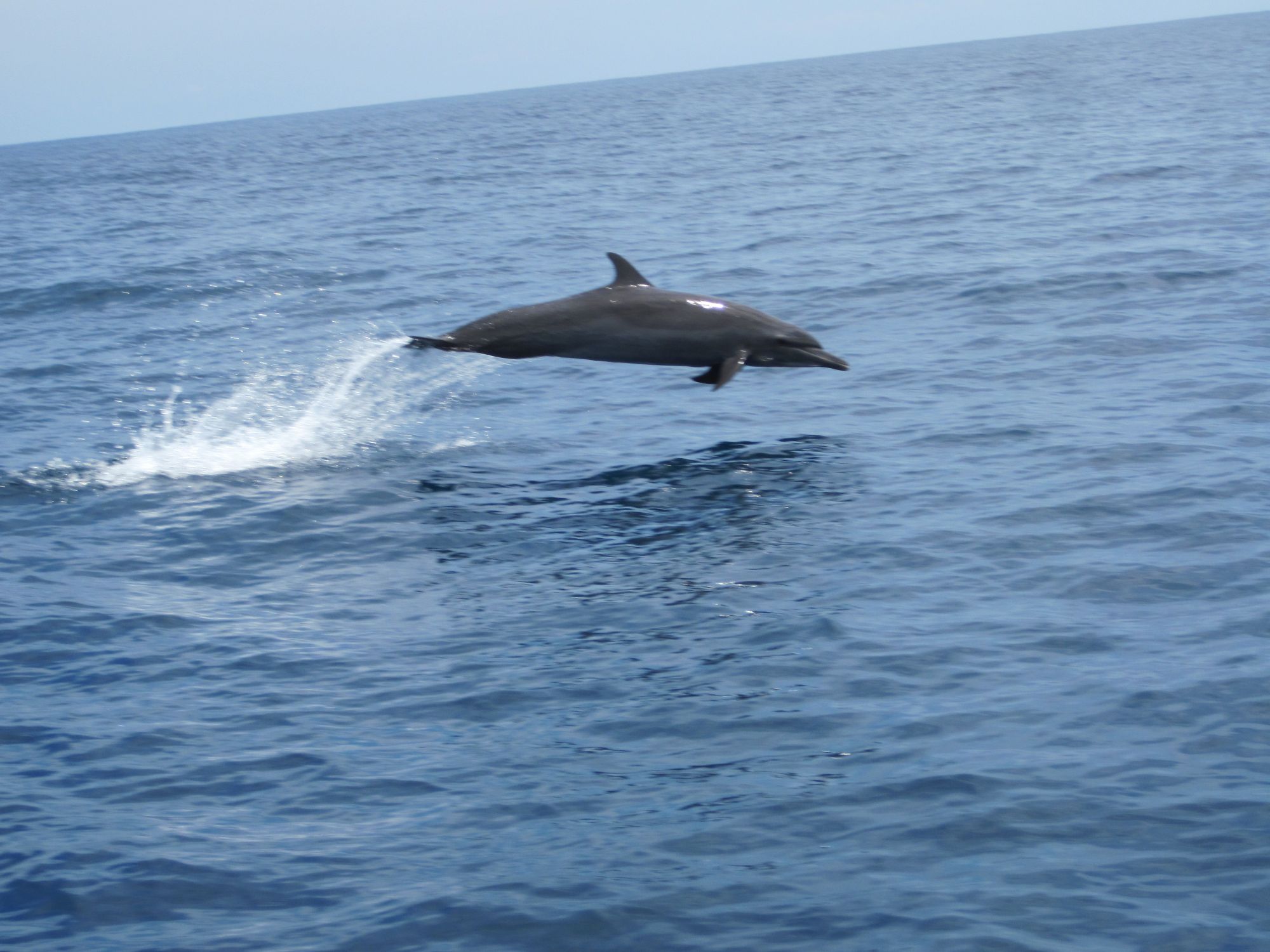 Calatorie in Costa Rica