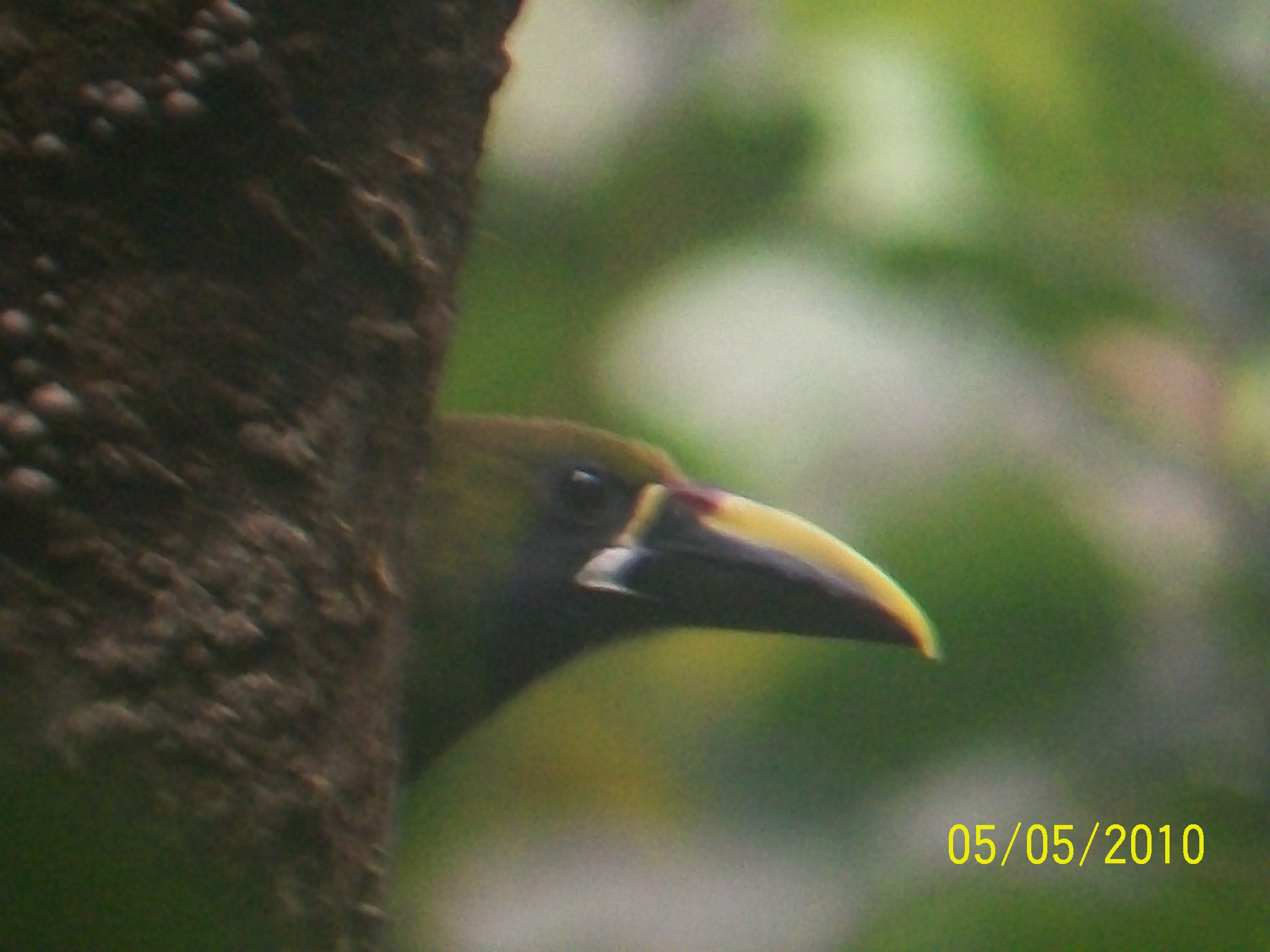 Calatorie in Costa Rica