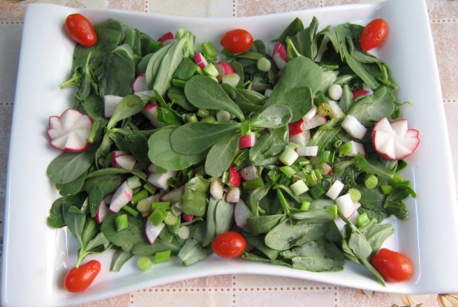 Salata de laptuci