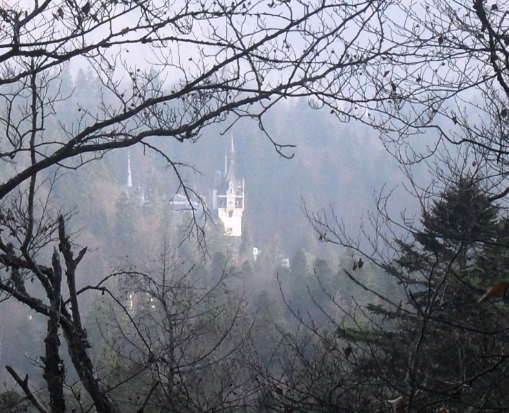 Fotografia, pasiunea mea