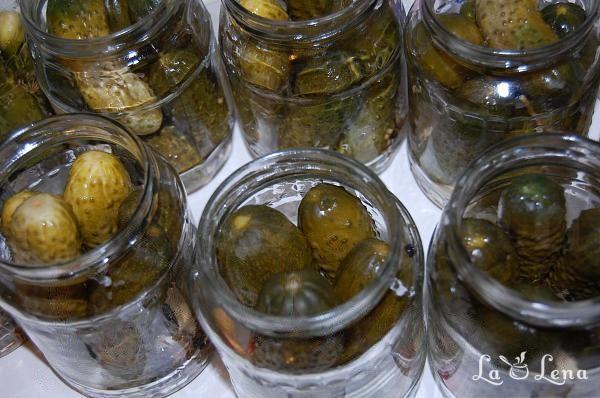 Castraveti murati la borcan