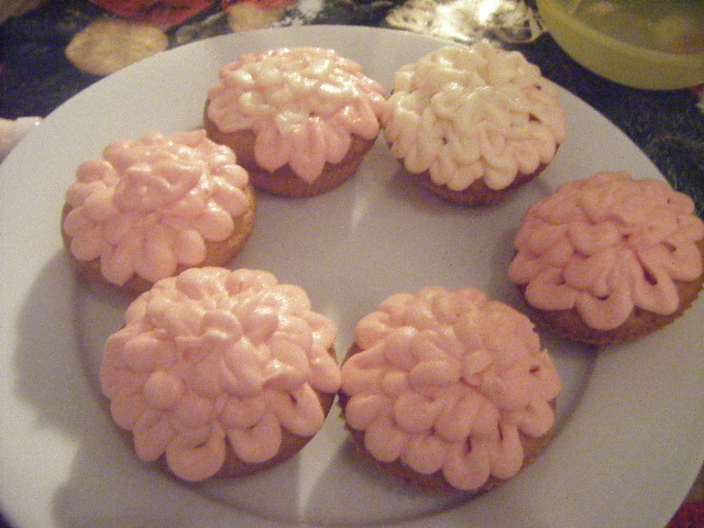 Vanilla cupcakes