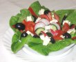 Salata de primavara-1