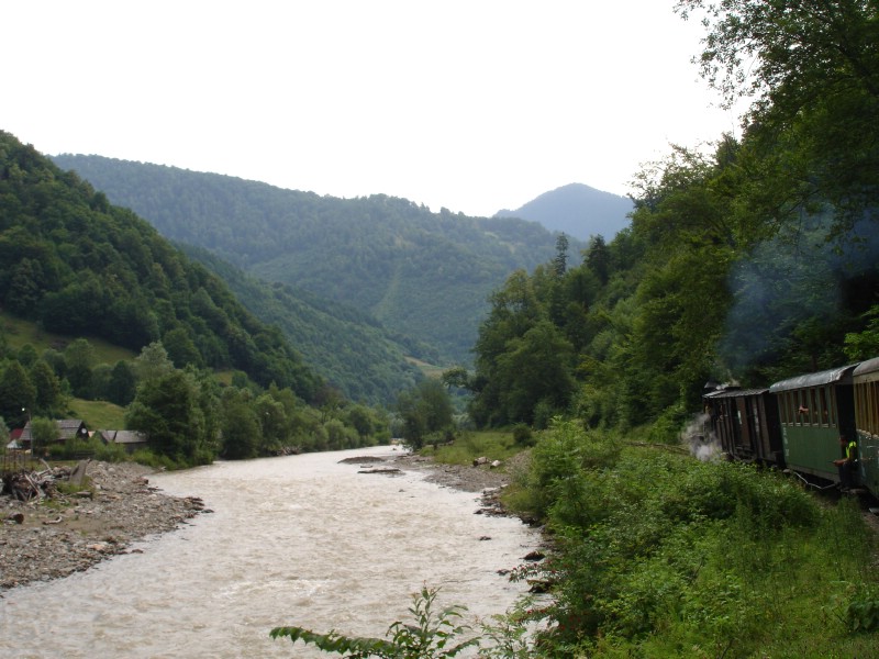 Cu mocanita pe Valea Vaserului