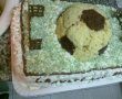 Tort teren de fotbal-1