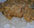 Curry de pui cu lapte de cocos si mere-4