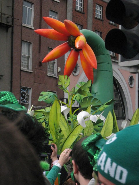 Fotoreportaj bucataras.ro: Parada de Sf. Patrick din Dublin in 20 randuri si 20 poze