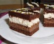 Prajitura cu ciocolata si nuca de cocos-5