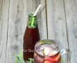 Ice Tea cu fructe-1