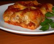 Cannelloni alla bolognese-0