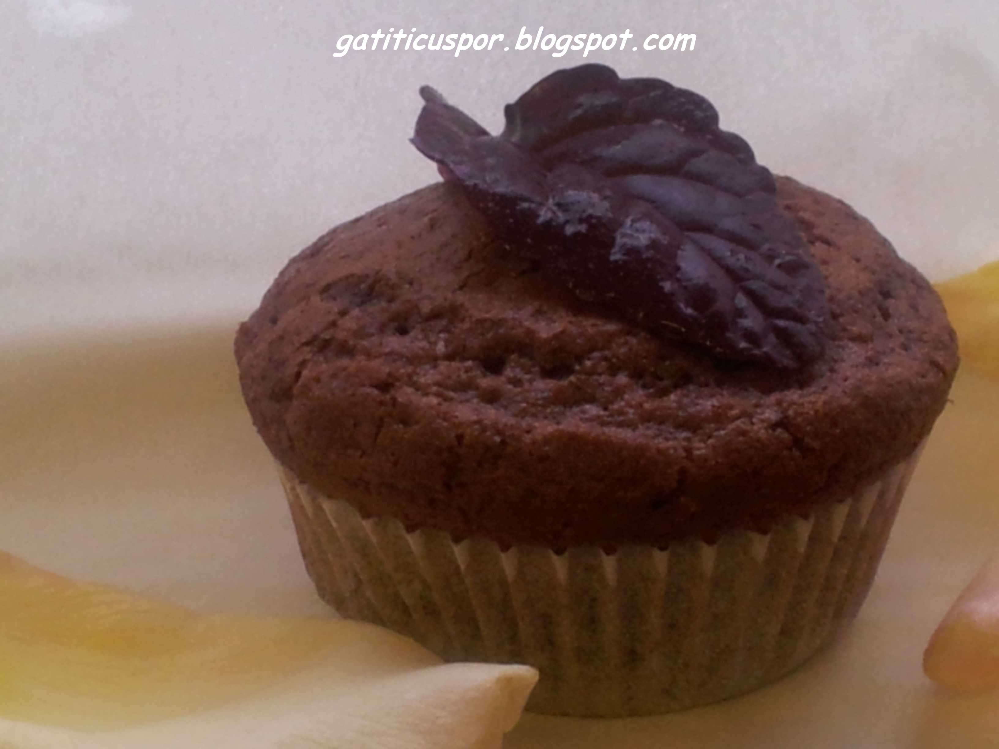 Chocolate Muffins