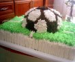 Tort teren de fotbal-4