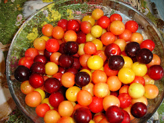 Gem de prune si corcoduse cu ghimbir, rom si scortisoara