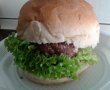 Hamburger de vita-1