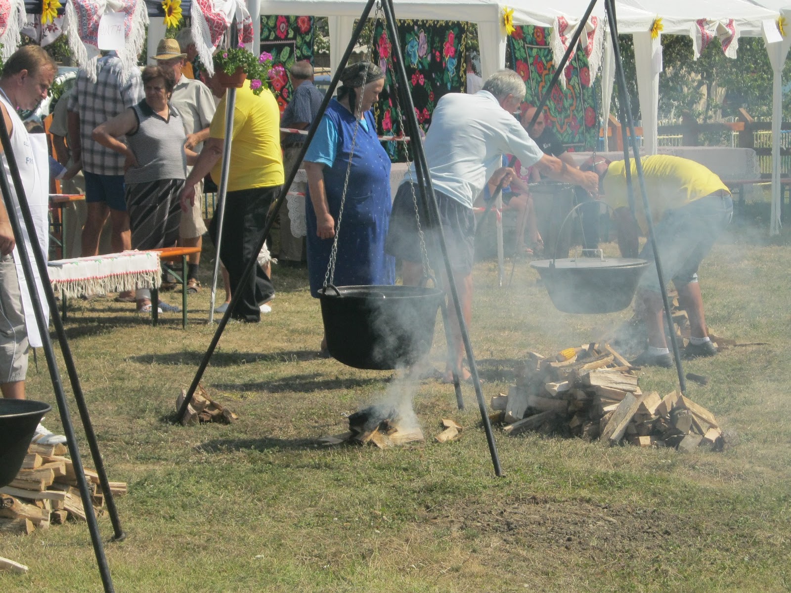 Festivalul Sarmalelor editia a IV-a -Salonta 02 septembrie 2012