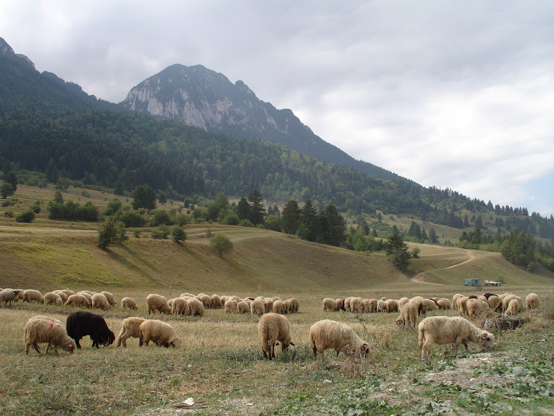 Traseu de munte in anul acesta