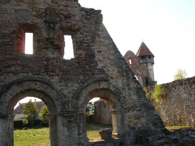 Traseu de munte in anul acesta