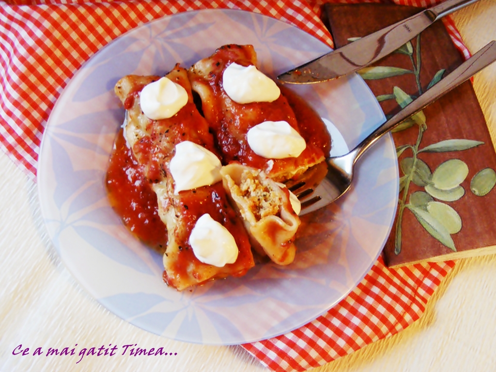 Cannelloni cu carne si sos de rosii