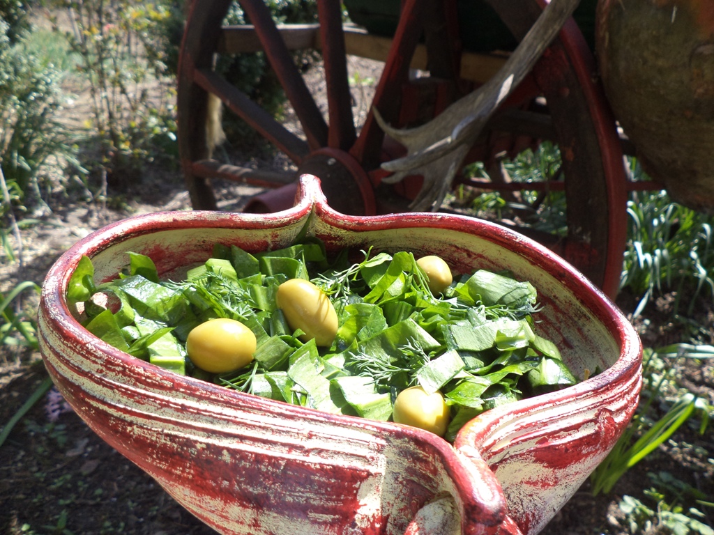 Salata simpla, gustoasa si sanatoasa de leurda