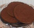 Tort cu blat de cacao si crema de vanilie-5