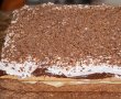 Prajitura Kinder Bueno - Desertul delicios pe gustul copiilor-18