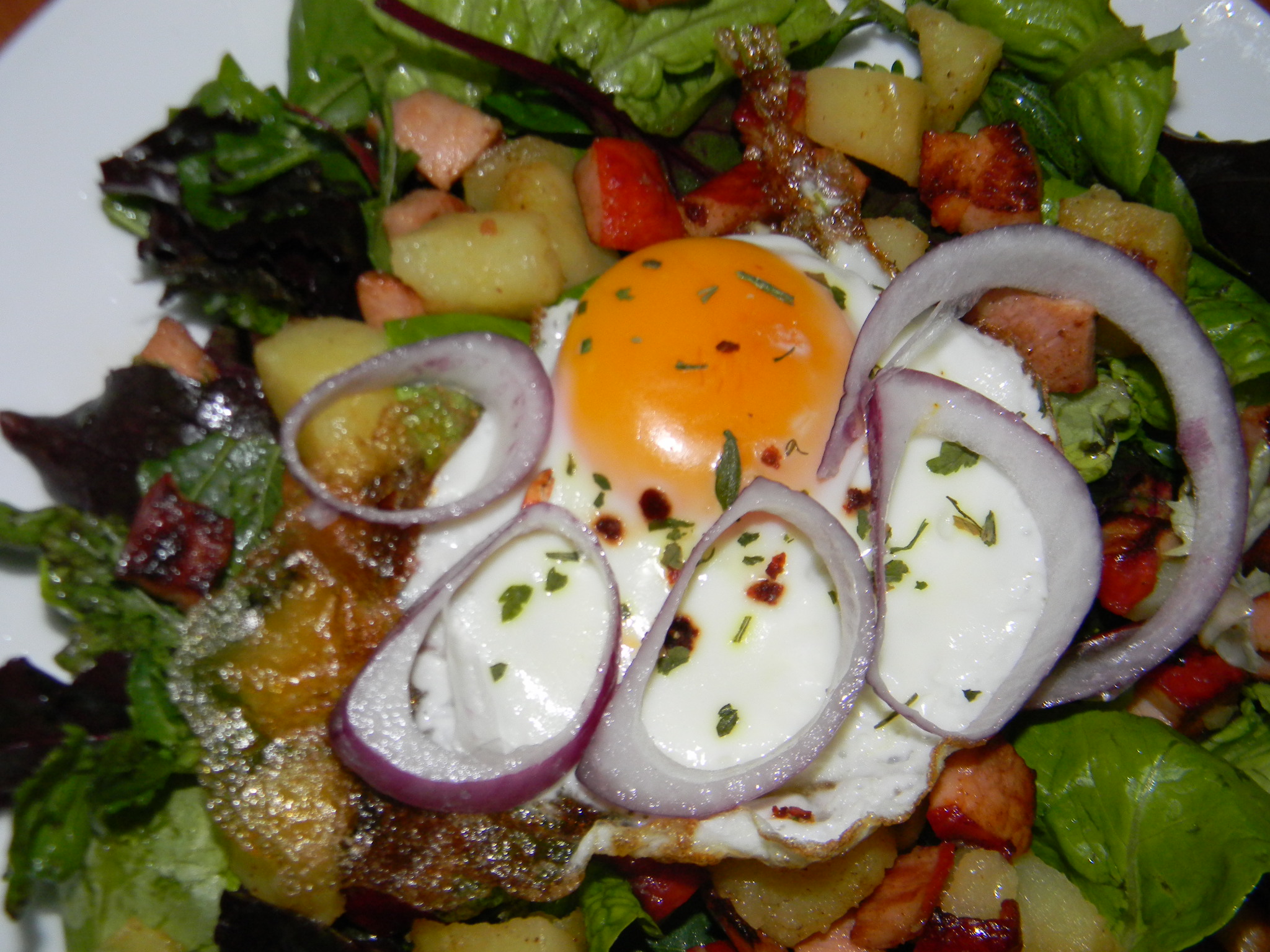 Salata de frunze tinere