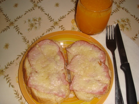 Sandwich cald cu parmezan si sunca de praga!