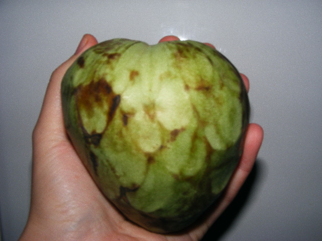 Cherimoya