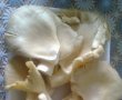 Pleurotus pane-2