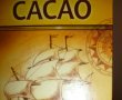 Chec cu cacao si zmeura-9