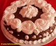 Tort cu crema ganache (reteta video)-0