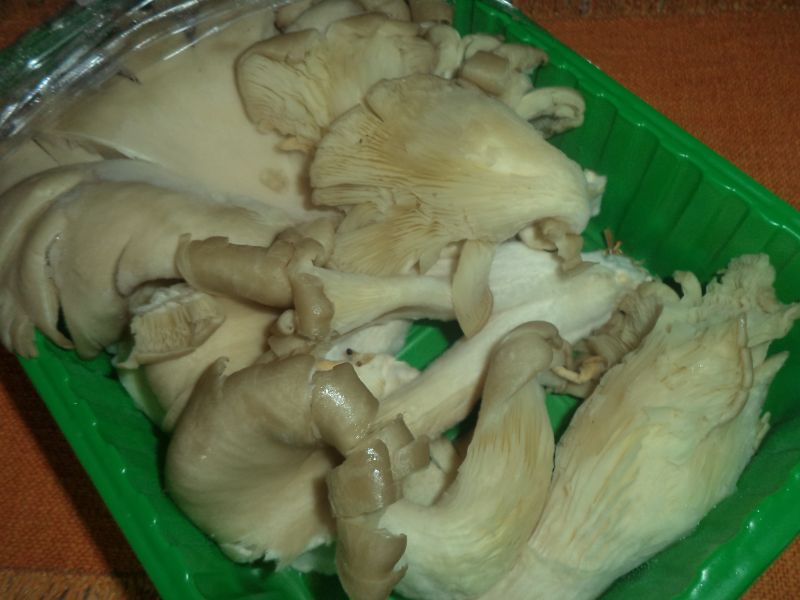 Salata de pleurotus cu maioneza si marar