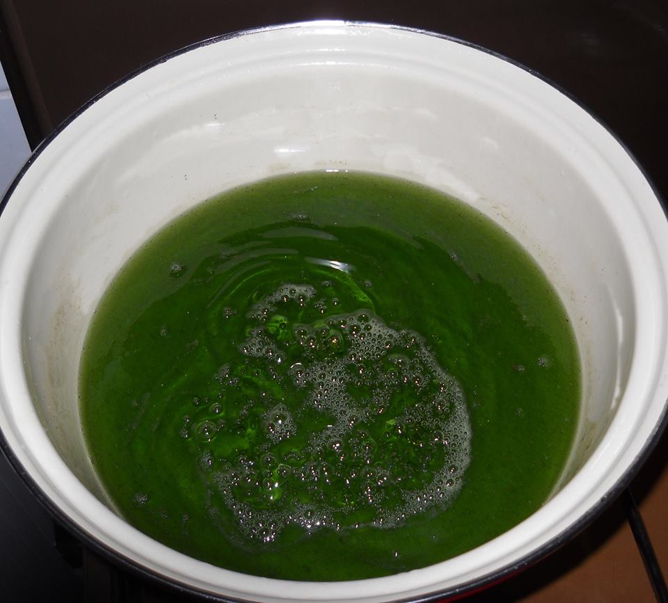 Sirop de menta