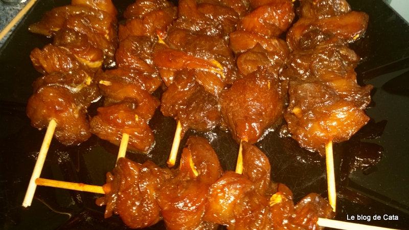 Frigarui Yakitori de curcan