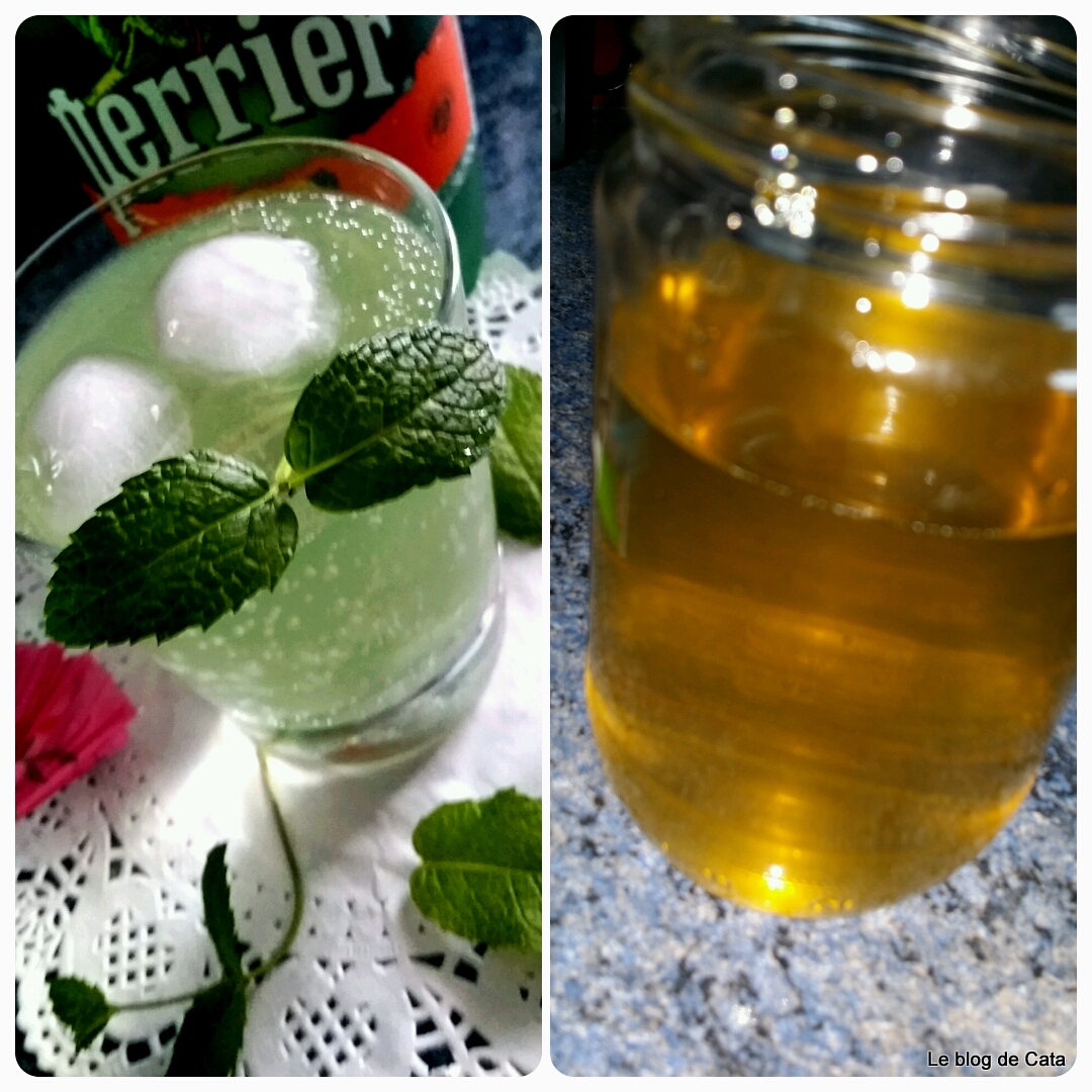 Sirop de menta de casa