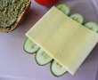 Sandwich vegetarian-3