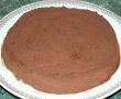 Desert tort Maresal Joffre-13