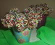 Cake Pops-10