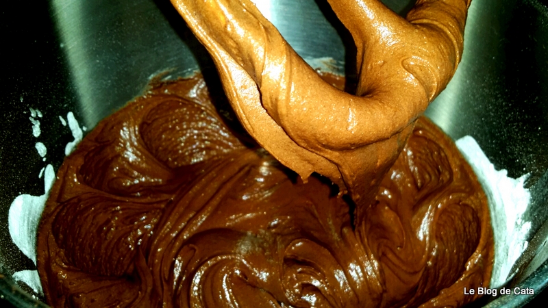 Prajitura noroioasa - Mississippi Mud Cake