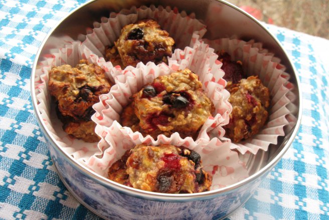 Cookies cu fulgi de ovaz si fructe de padure