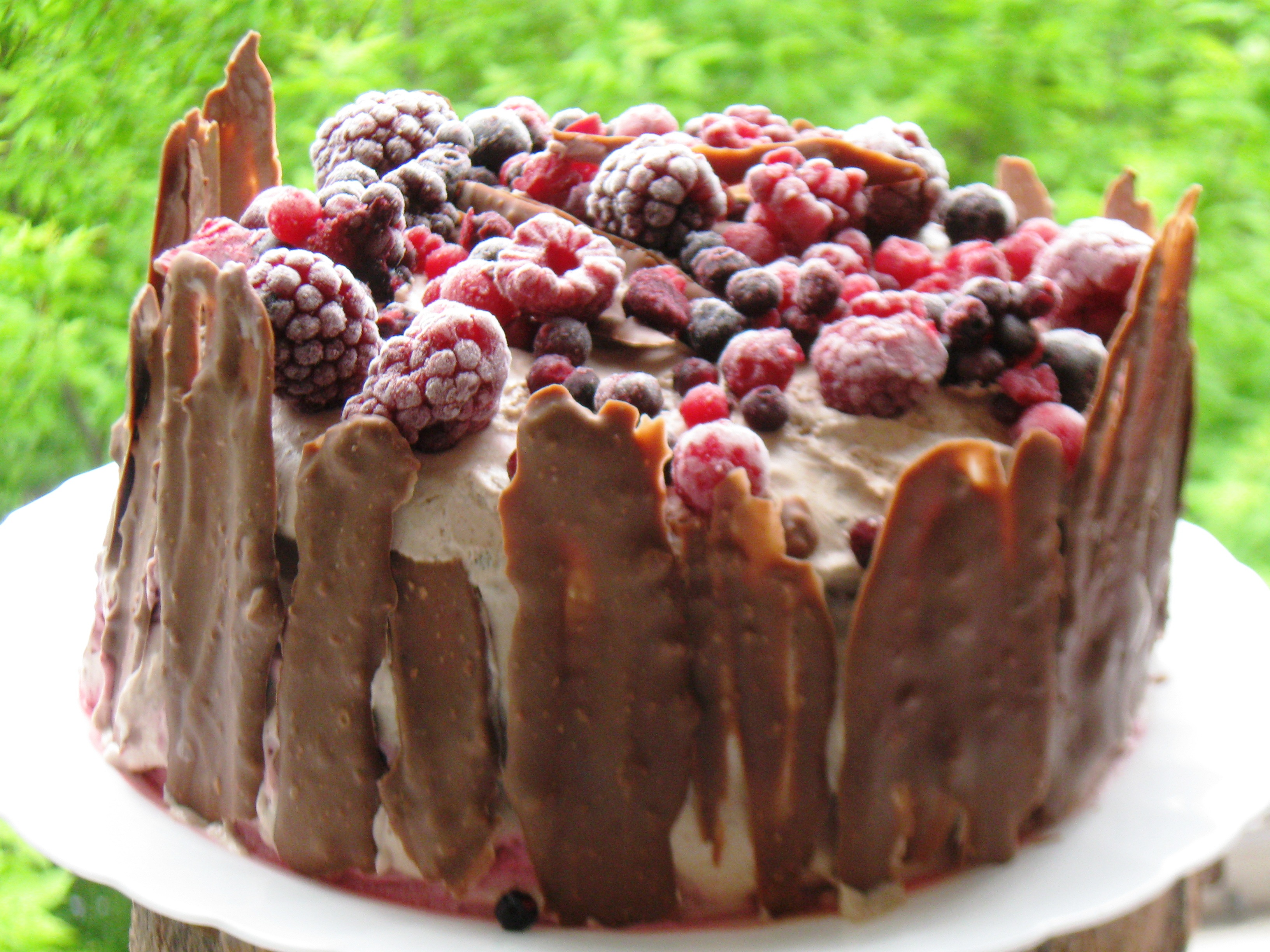 Tort cu fructe de padure si crema de ciocolata