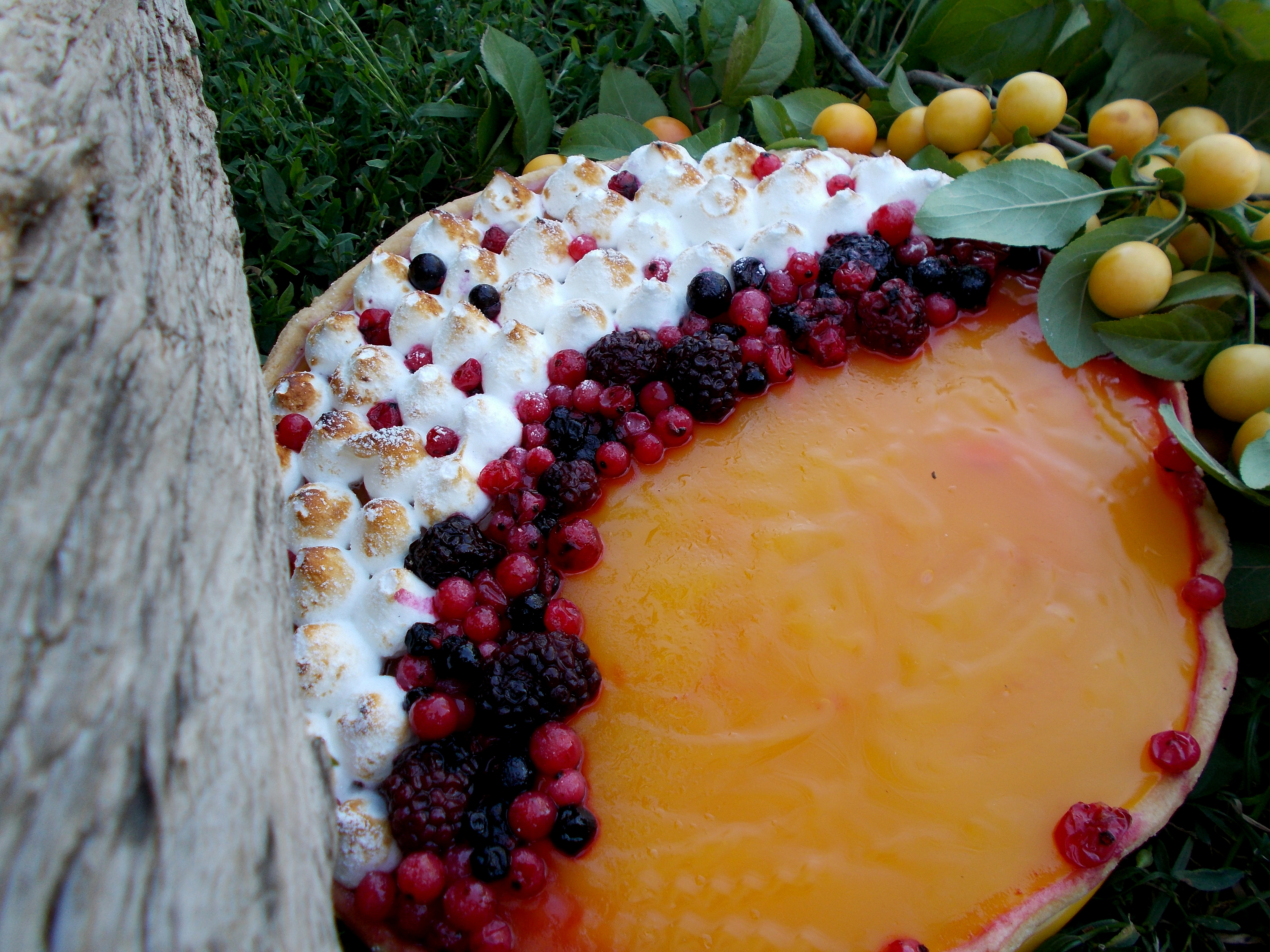 Tarta de fructe de padure si jeleu de corcoduse