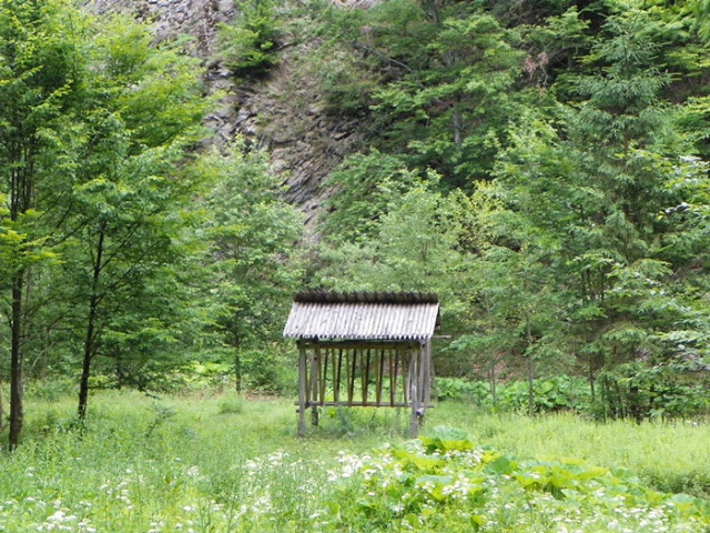 Lepsa-astazi Cheile Tisitei si Cascada Putna