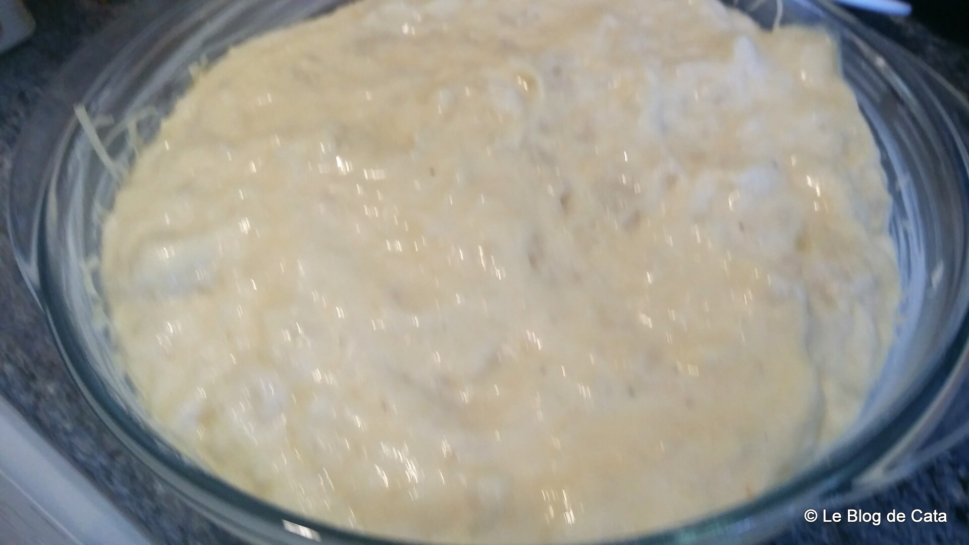 Flan de conopida