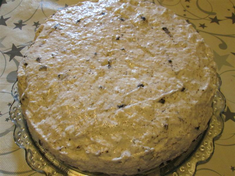 Desert tort Oreo 2