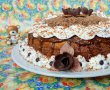 Desert tort amandina-4