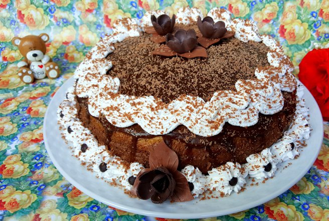 Desert tort amandina