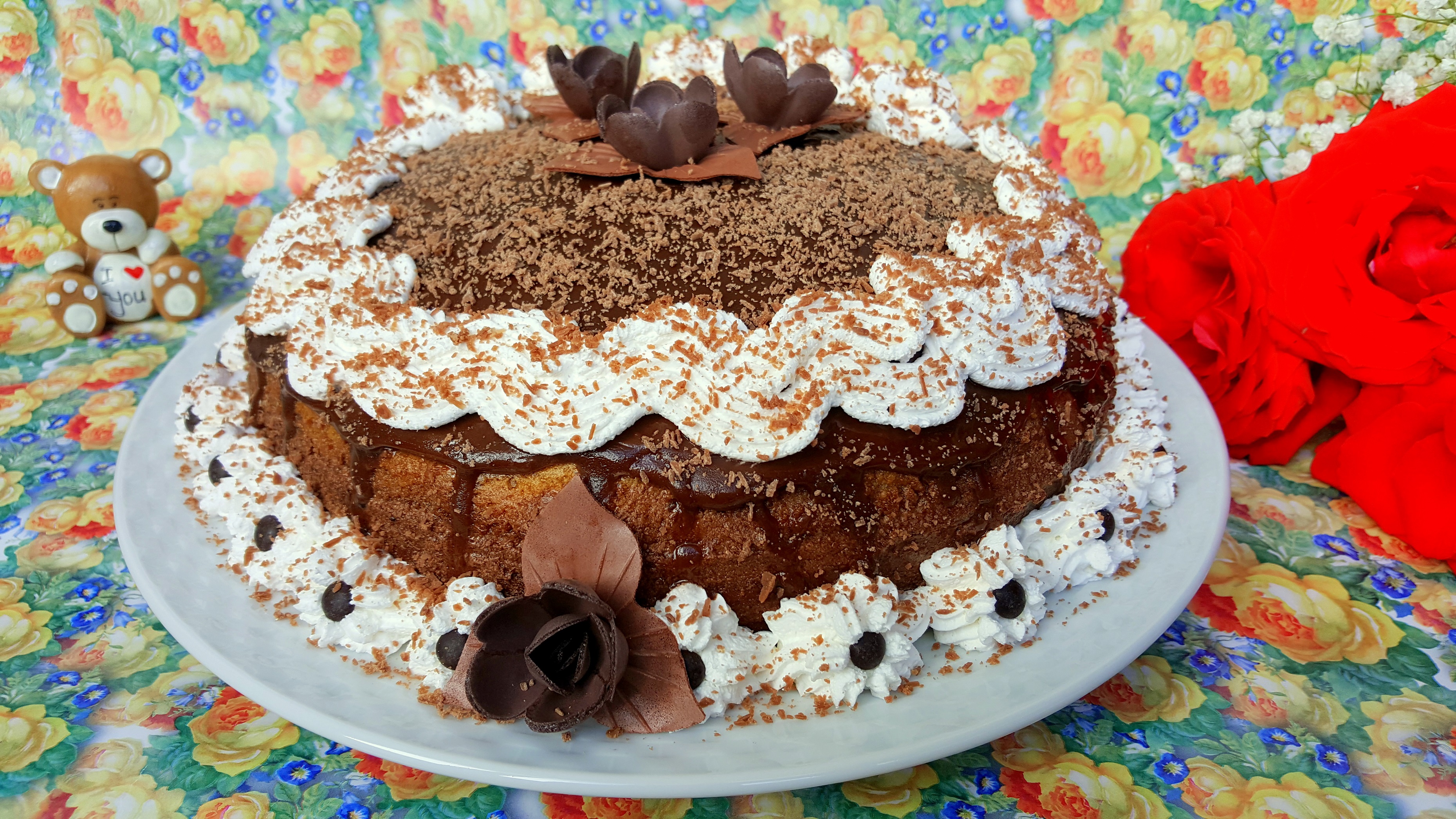 Desert tort amandina