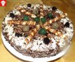 Desert tort Alex-0